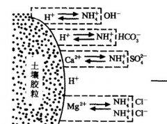 施用碳酸氫銨為什么要強(qiáng)調(diào)深施覆土？