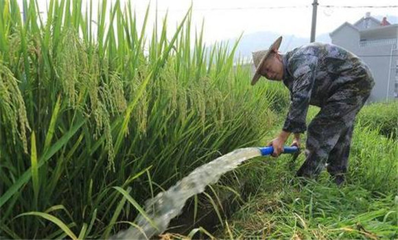 科學(xué)管水、防止早衰