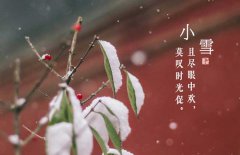 小雪節(jié)氣是什么意思，小雪節(jié)氣吃什么食品？