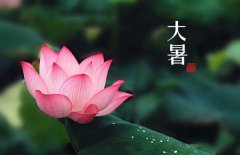 大暑是幾月幾日，大暑的節(jié)日民俗的哪些？