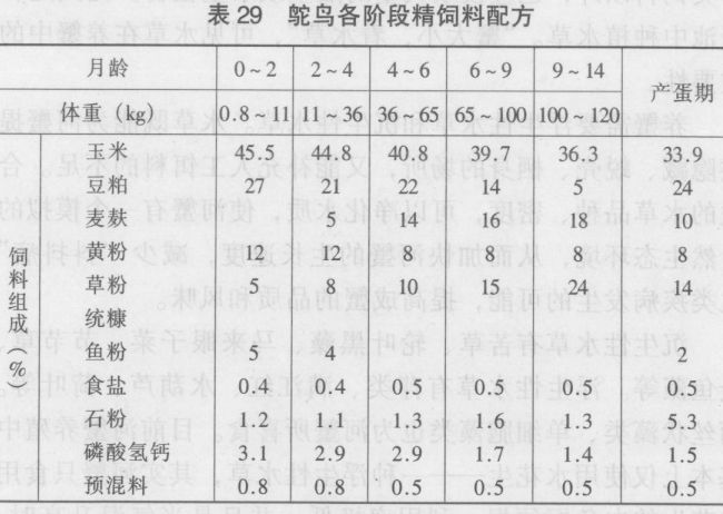 鴕鳥飼養(yǎng)管理技術(shù)