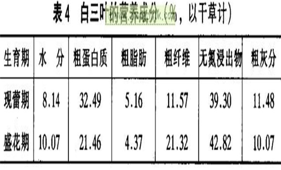 白三葉經(jīng)濟(jì)價值及利用