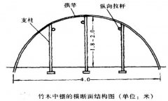 塑料中棚加外覆蓋能明顯使蔬菜早熟，效益高