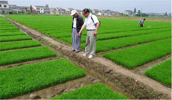 植物檢疫