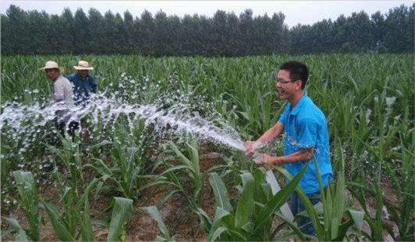 及時澆水和排灌