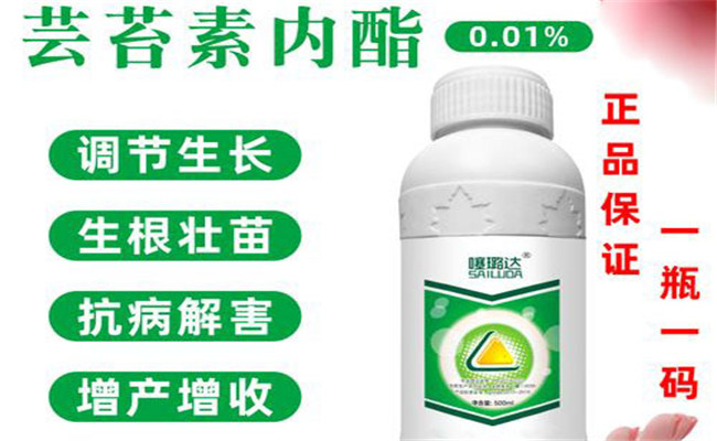 黃瓜種子調(diào)節(jié)劑如何使用