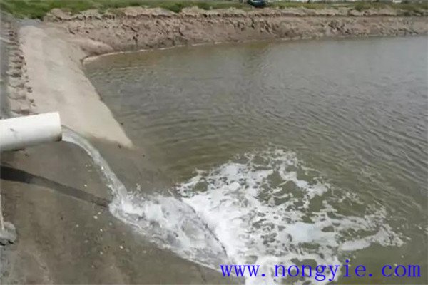 定期沖換水，保讓魚(yú)塘水質(zhì)