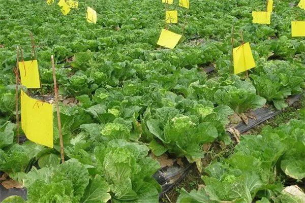 什么是病蟲害的生物防治