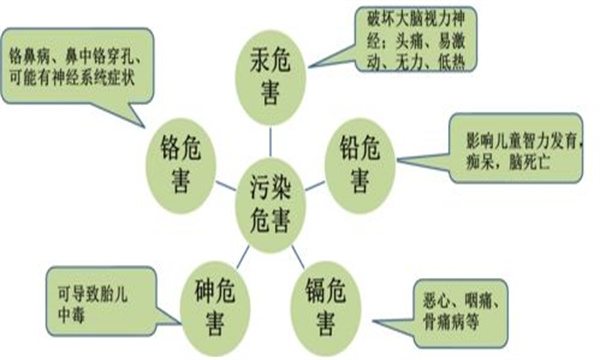 對人類健康有害的重金屬元素種類