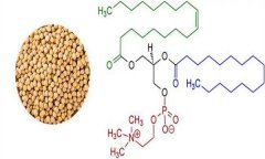 大豆異黃酮對(duì)人體有什么好處 什么食物含量多？