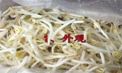 如何挑選豆芽？有根豆芽與無(wú)根豆芽有什么區(qū)別