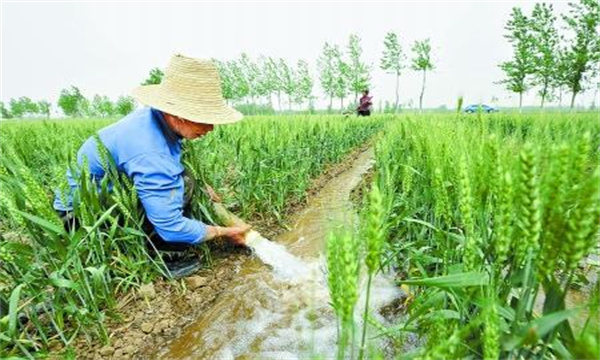 適時(shí)澆好灌漿水